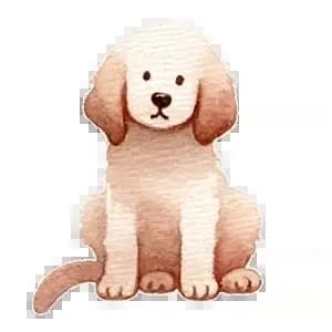 Amenity Icon - pets