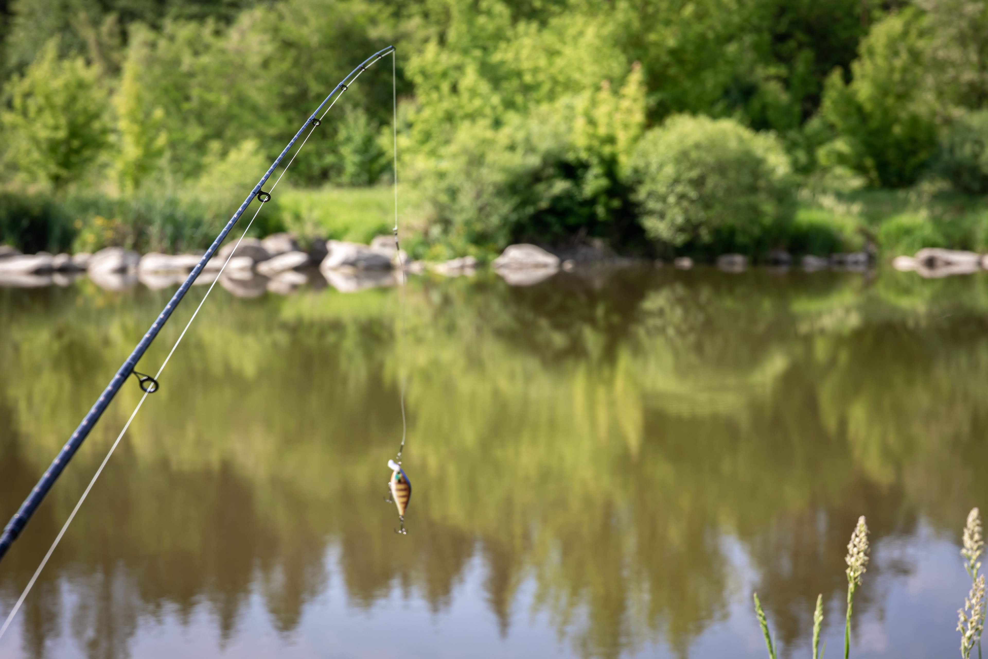fishing-2.jpg